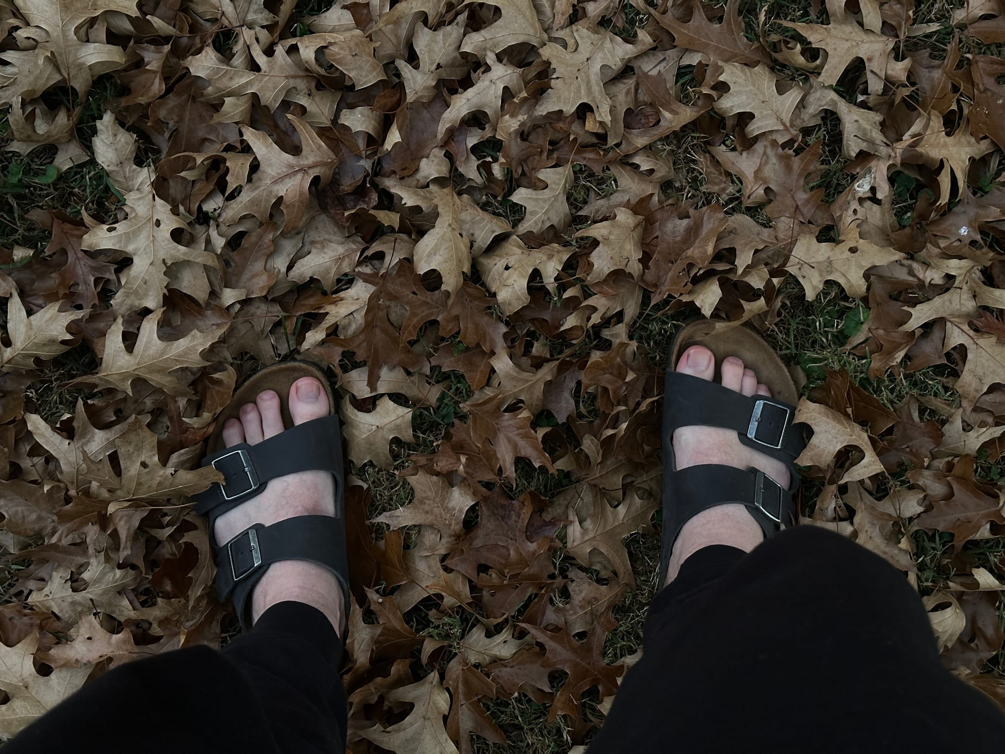 Happy Autumn Equinox!