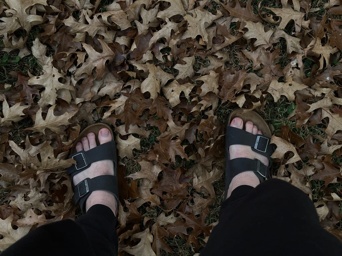 Happy Autumn Equinox!