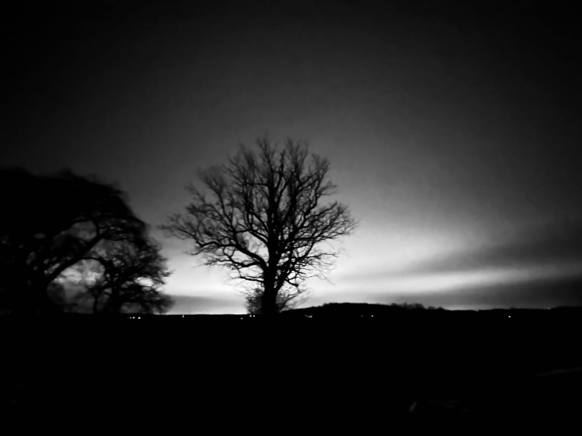 Yuletide Nights and Other Happenings