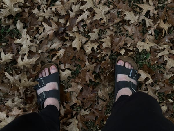 Happy Autumn Equinox!